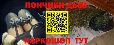 крисы Дубна
