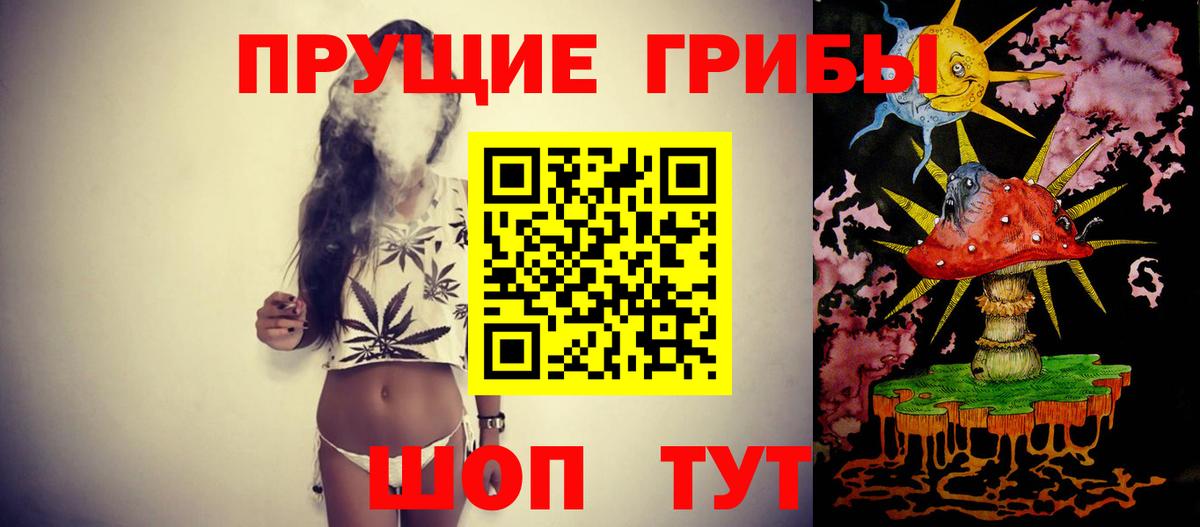Куйбышев  Псилоцибиновые грибы Psilocybe  Вход с VPN 
